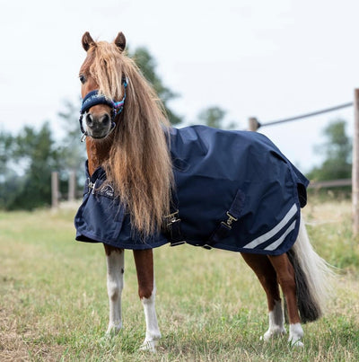 Measuring horse blanket size correctly - this is how!