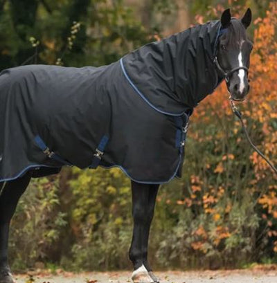 Des couvertures d'hiver que ton cheval va adorer
