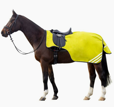 Sichtbar & sicher – Leuchtartikel für Pferd und Reiter