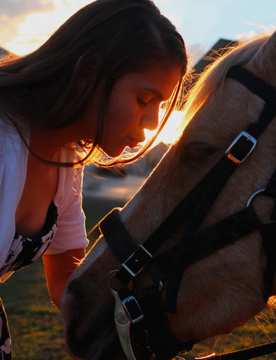 Valentine's Day - sweet gift ideas for horse and rider