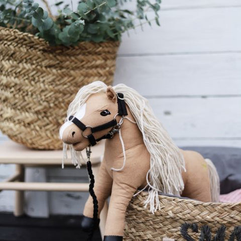 Mini-Pferd Daisy
