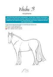 Pferde Challenge accepted: 12 Monate, 12 Themen – für mehr Abwechslung, Gesundheit & Teamwork im Pferde Training