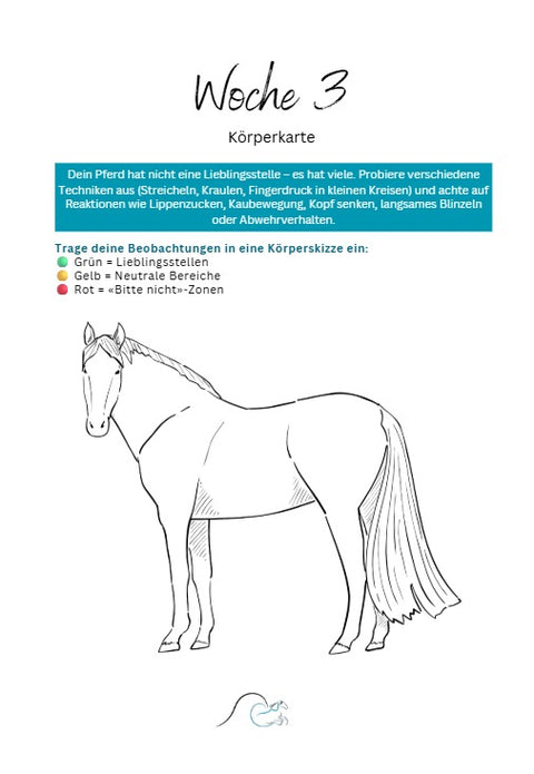 Pferde Challenge accepted: 12 Monate, 12 Themen – für mehr Abwechslung, Gesundheit & Teamwork im Pferde Training