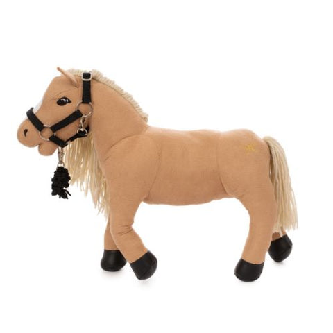Mini-Pferd Daisy