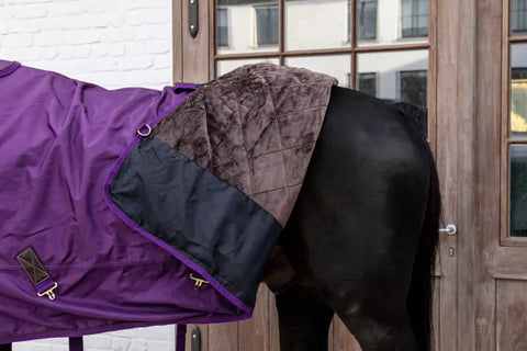 Turnout Rug All Weather Waterproof Pro