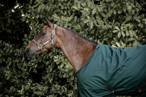Turnout Rug All Weather Waterproof Pro
