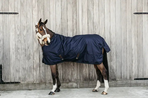 Turnout Rug All Weather Waterproof Pro