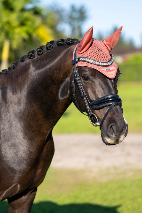 Fliegenhaube Coral