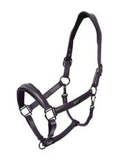 Halfter Anatomic Glimmer Leder Dark Violet