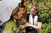 Kühlhandtuch von Equine-Microtec - Pferdekram