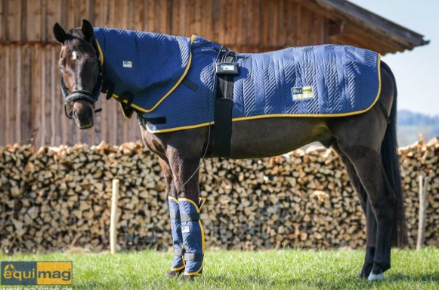 Magnetfelddecke Equimag Profi Set