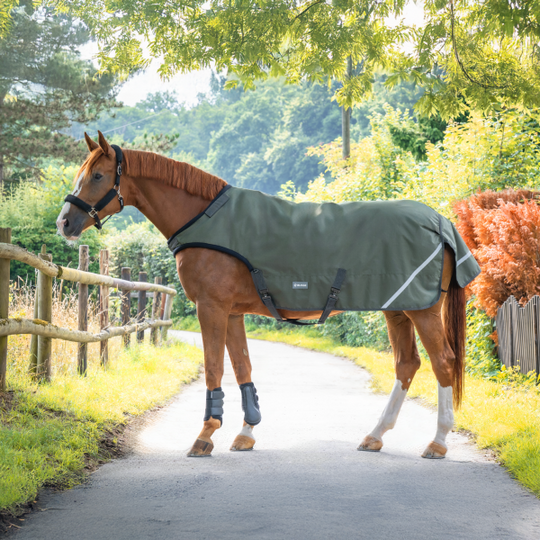 Bewegungsdecke Rain 50