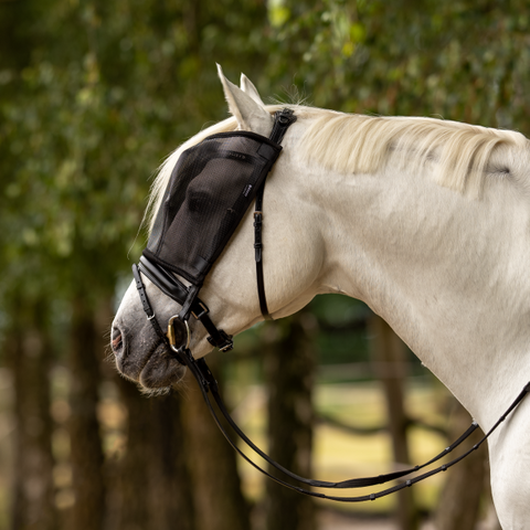 Fliegenmaske zum Reiten