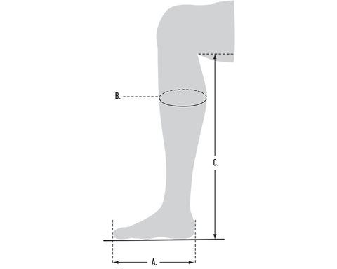Reitstiefel Palisade Field - Hoch