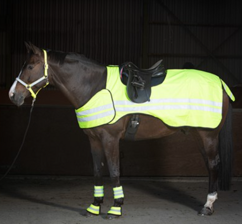 Ausreitdecke Reflective