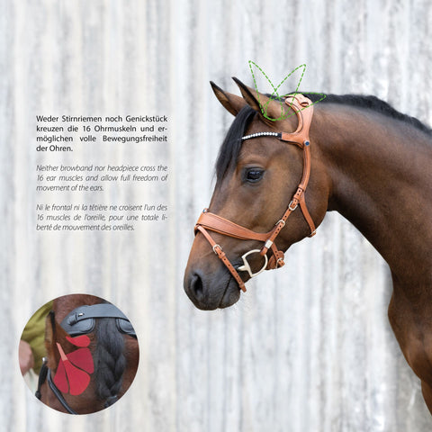 Trensenzaum Freedom II Magic Tack mit Slide&Lock