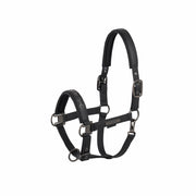 Halfter Faux Leather Double Pin Platinium 25