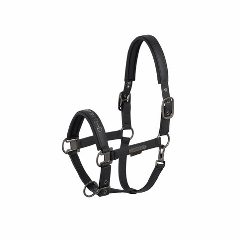 Halfter Faux Leather Double Pin Platinium 25