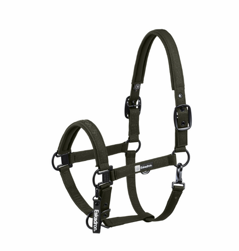 Halfter Sparkle Double Pin Dynamic