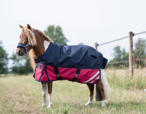 Pasture rug Mini 600D (size 55-105cm)