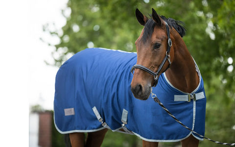 Abschwitzdecke Fast Dry -Equine Microtec - Pferdekram