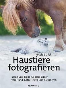 Haustiere fotografieren - Ideen und Tipps - Pferdekram