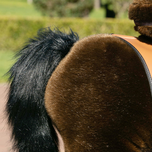 PonyCycle Chocolate, NEU: Grösse L