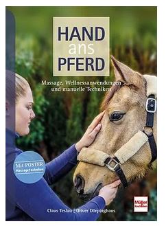 Hand ans Pferd - Massage, Wellness - Pferdekram