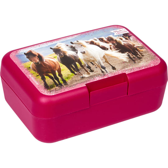 Znünibox Pferdefreunde - Pferdekram
